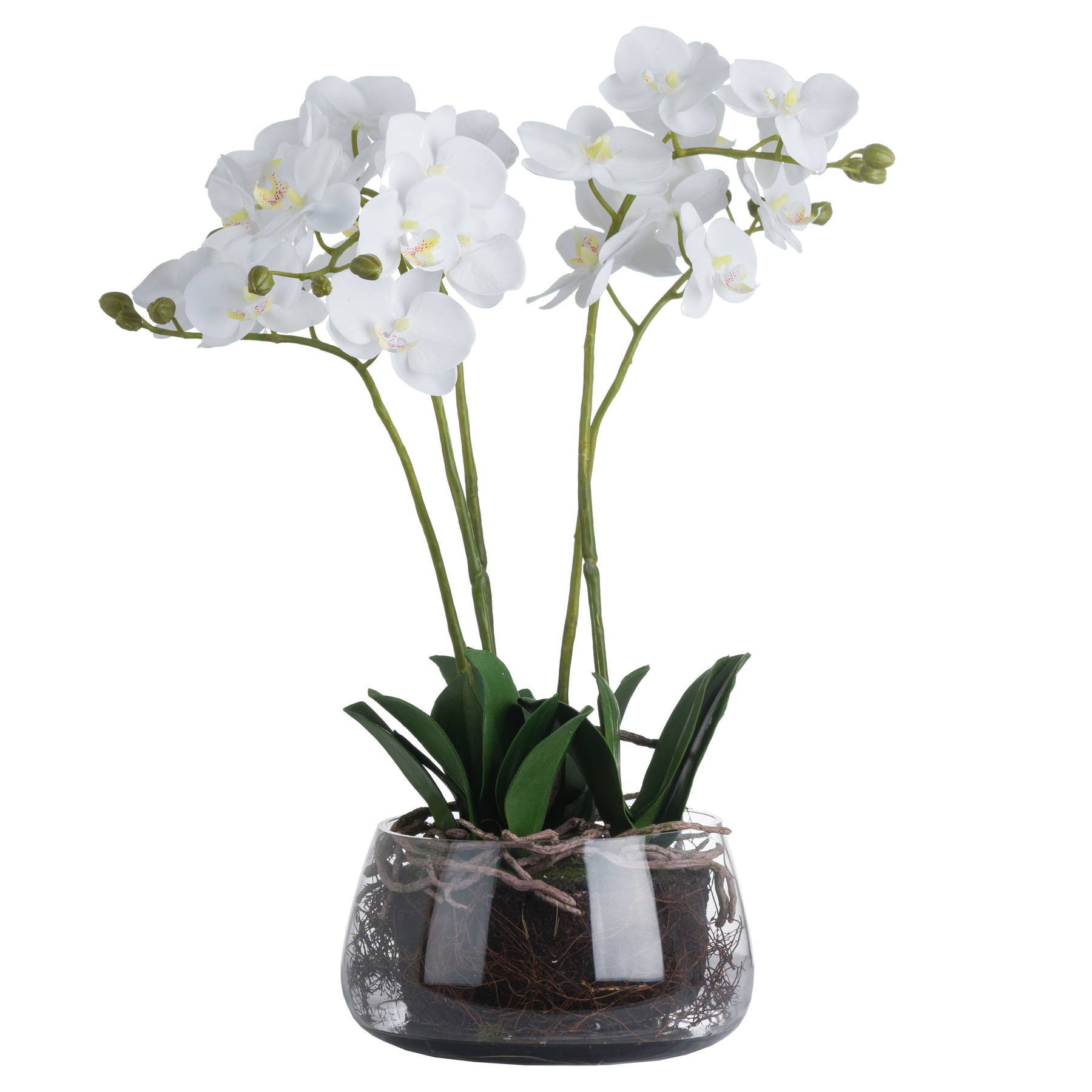 Faux White Orchid In Glass Pot