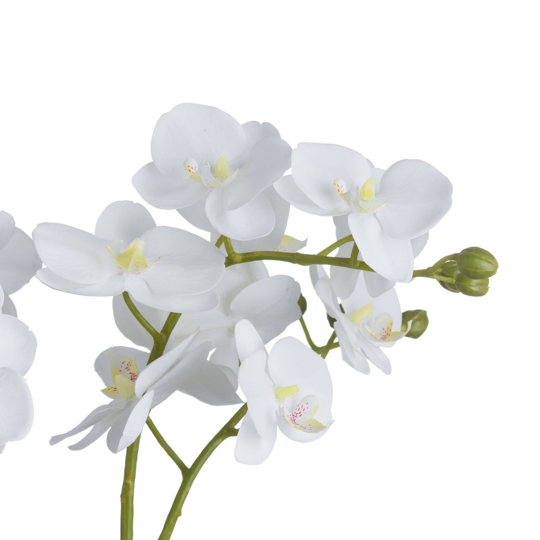 Faux White Orchid In Glass Pot