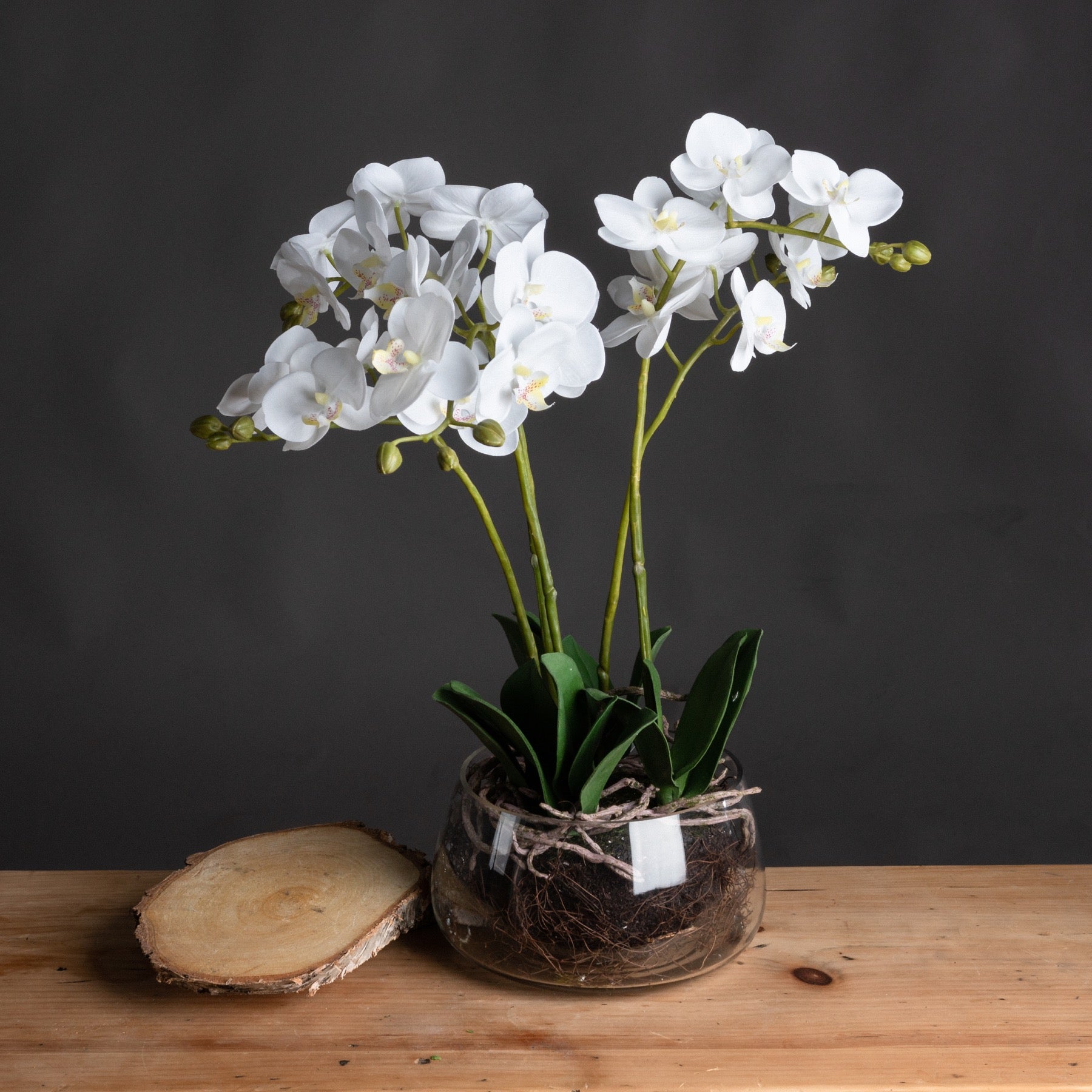Faux White Orchid In Glass Pot