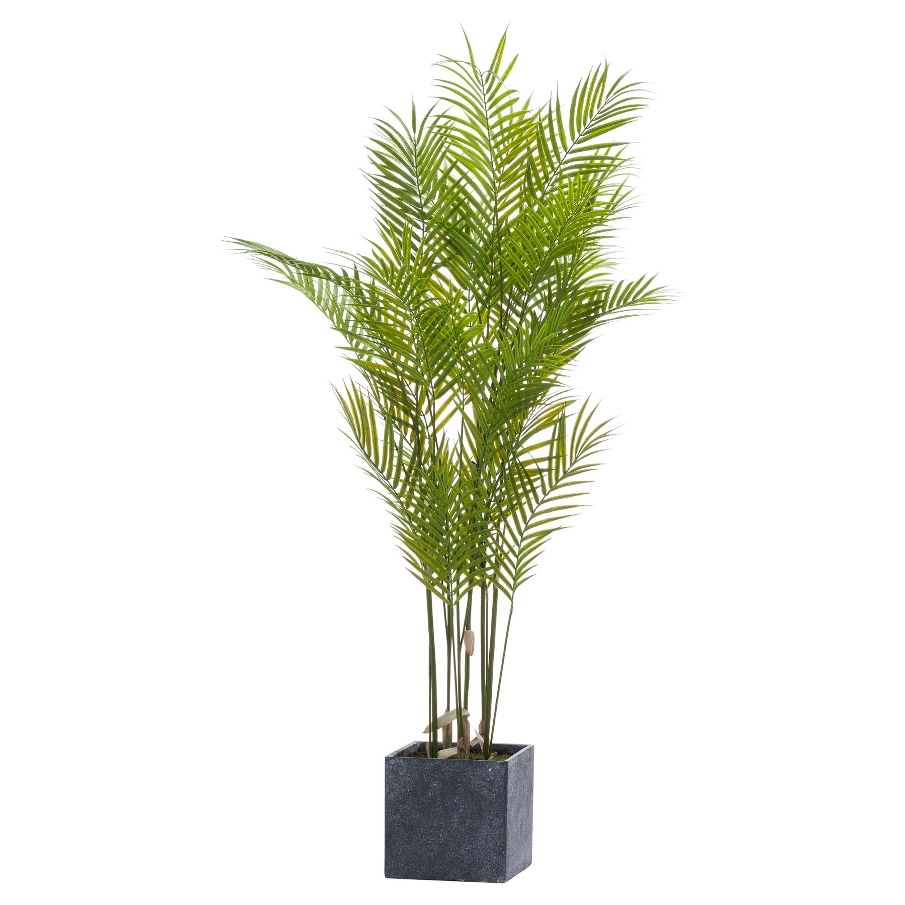 Candela LED di lusso in vera cera