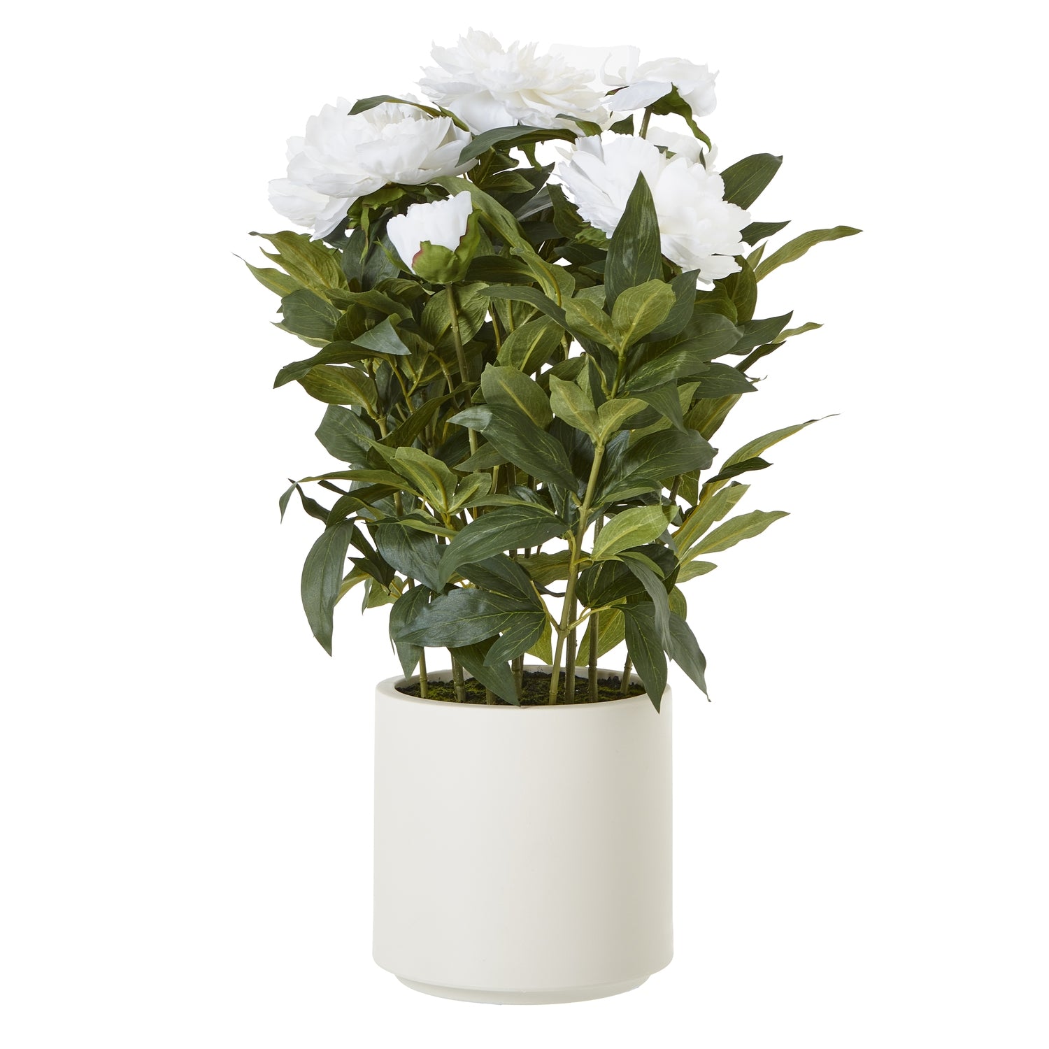Candela LED di lusso in vera cera
