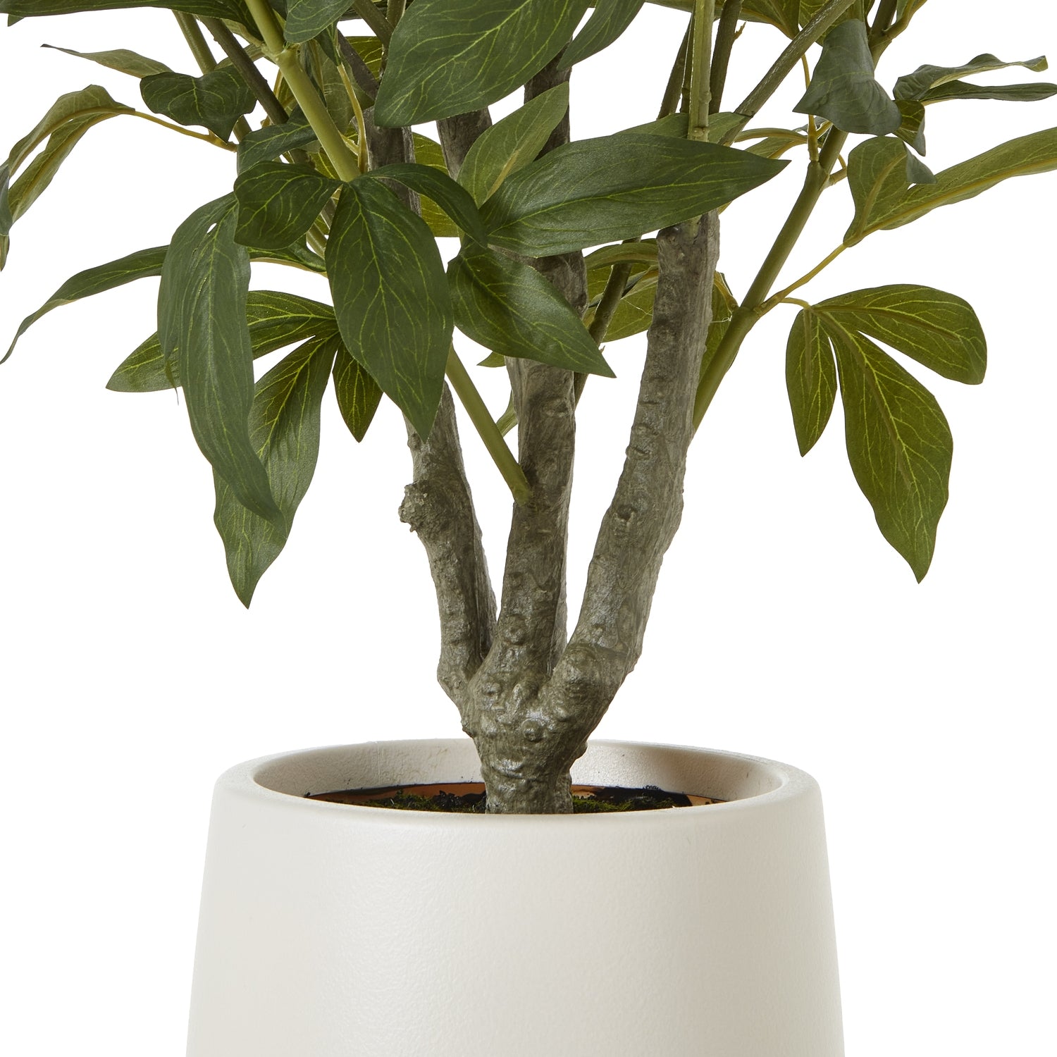 Candela LED di lusso in vera cera
