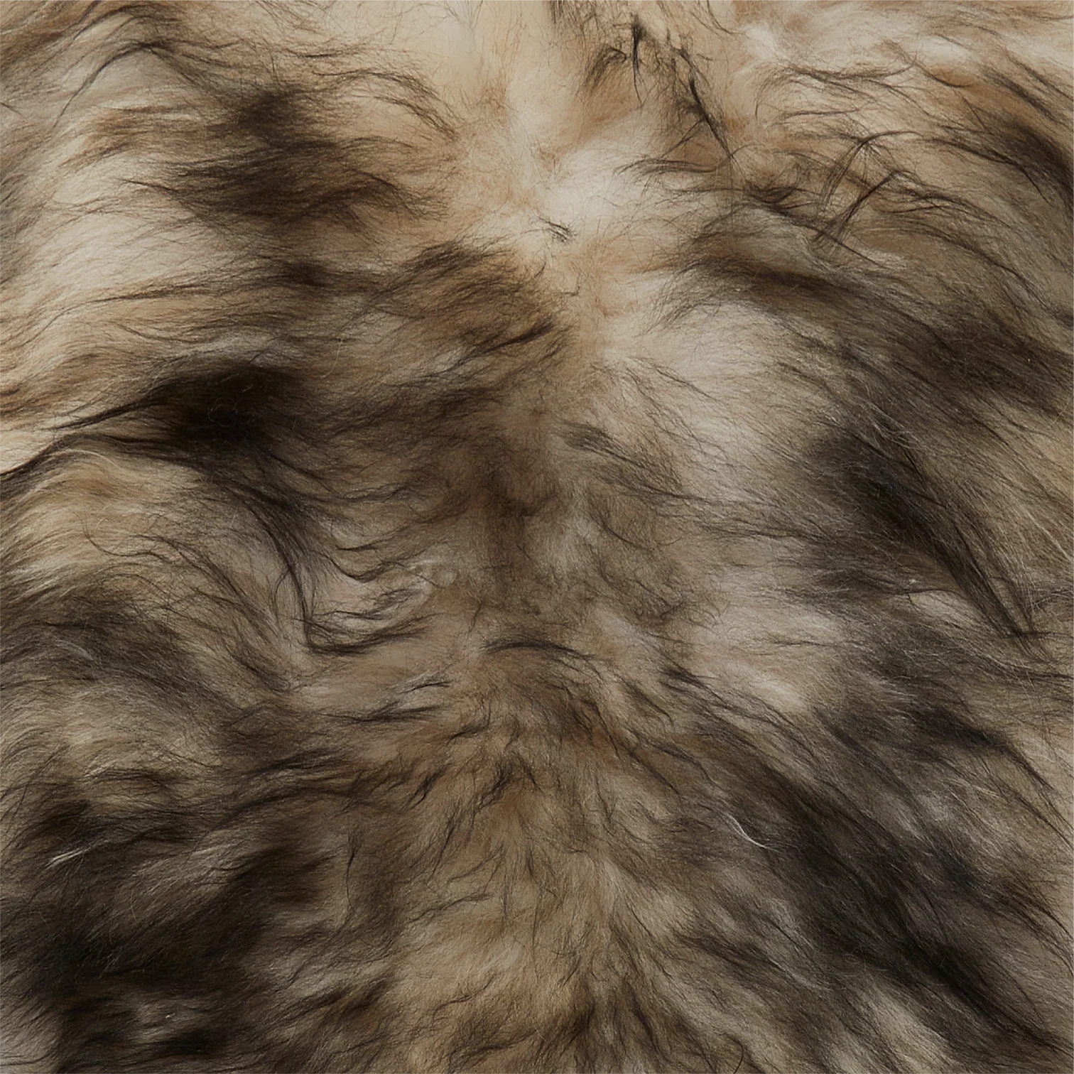 Black Tipped Luxury Icelandic Sheepskin Rug